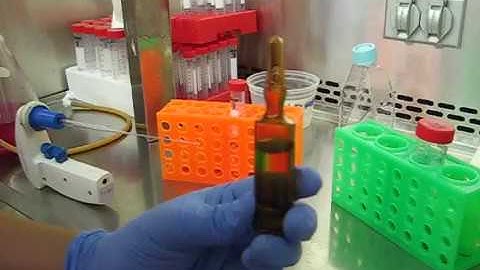 How to make 4% Para-formaldehyde from 16% vial for cell fixing