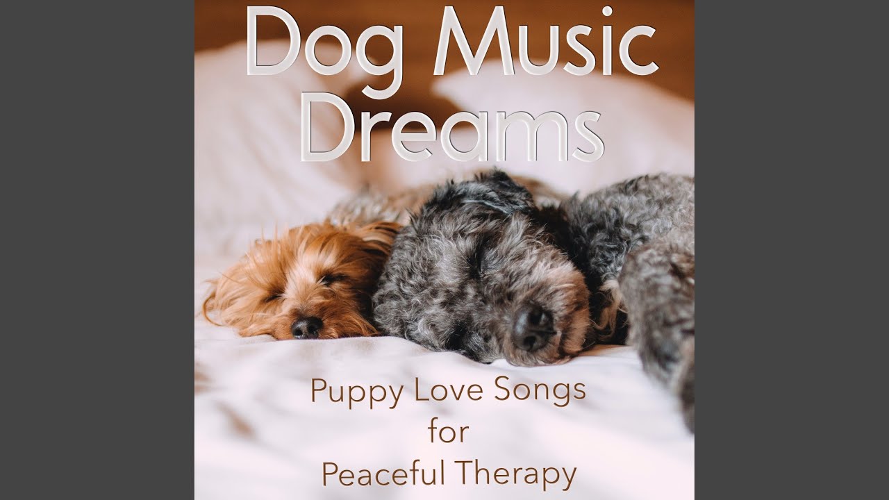 Dog Music Dreams