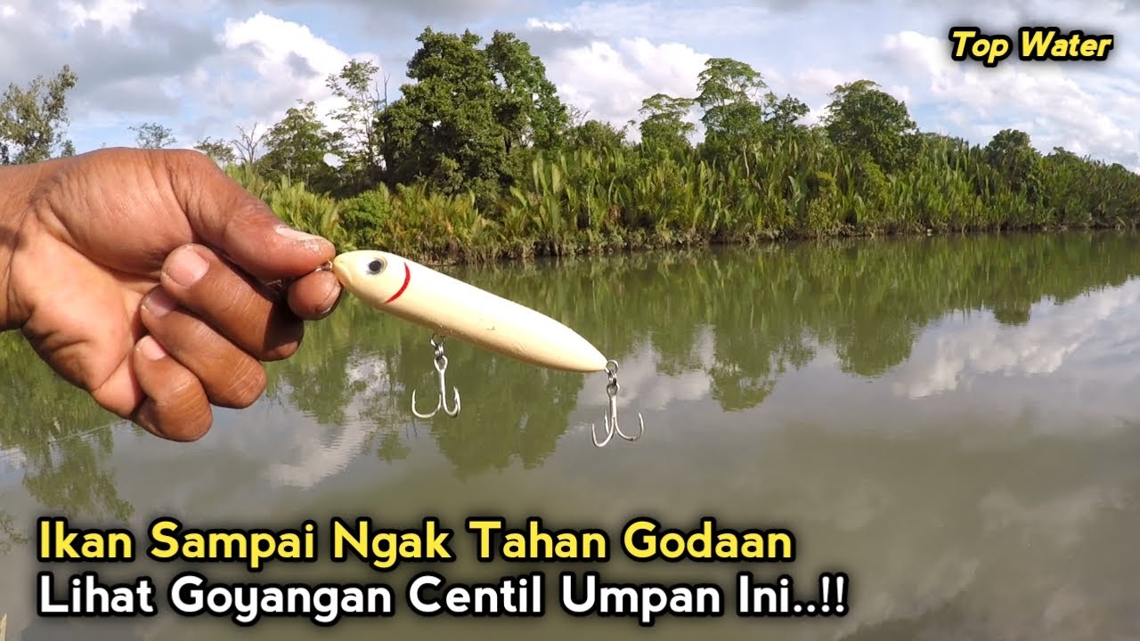 Top Water Pencil Bait Copy Heddon 11.5gr Ft. Sisik 2-6lb || Ultralight Casting