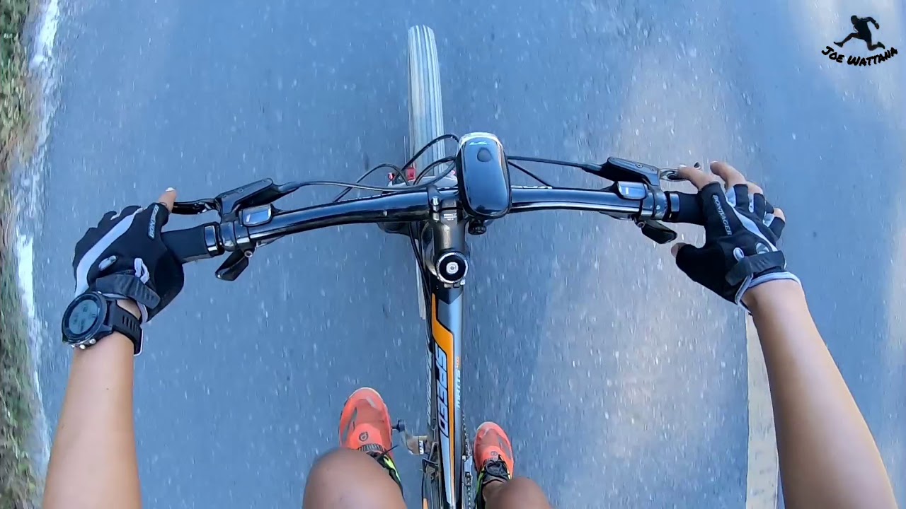 เข้าป่าเข้าดงกันไป