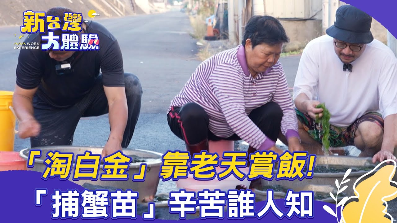 【新台灣大體驗】「淘白金」靠老天賞飯！「捕蟹苗」辛苦誰人知｜廖慶學 2025.07.12 part1