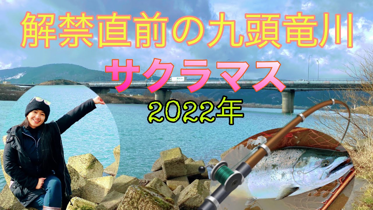 22年 福井県九頭竜川 サクラマス解禁直前の状況 Youtube