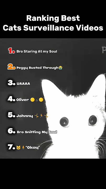 Ranking Best Cats Surveillance Videos