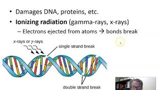 Microbial Control   Radiation