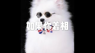 201709 如果你着相23646