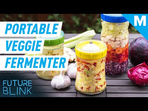 Kefirko - Veggie Fermenter (All-in-One Fermentation Jars) –