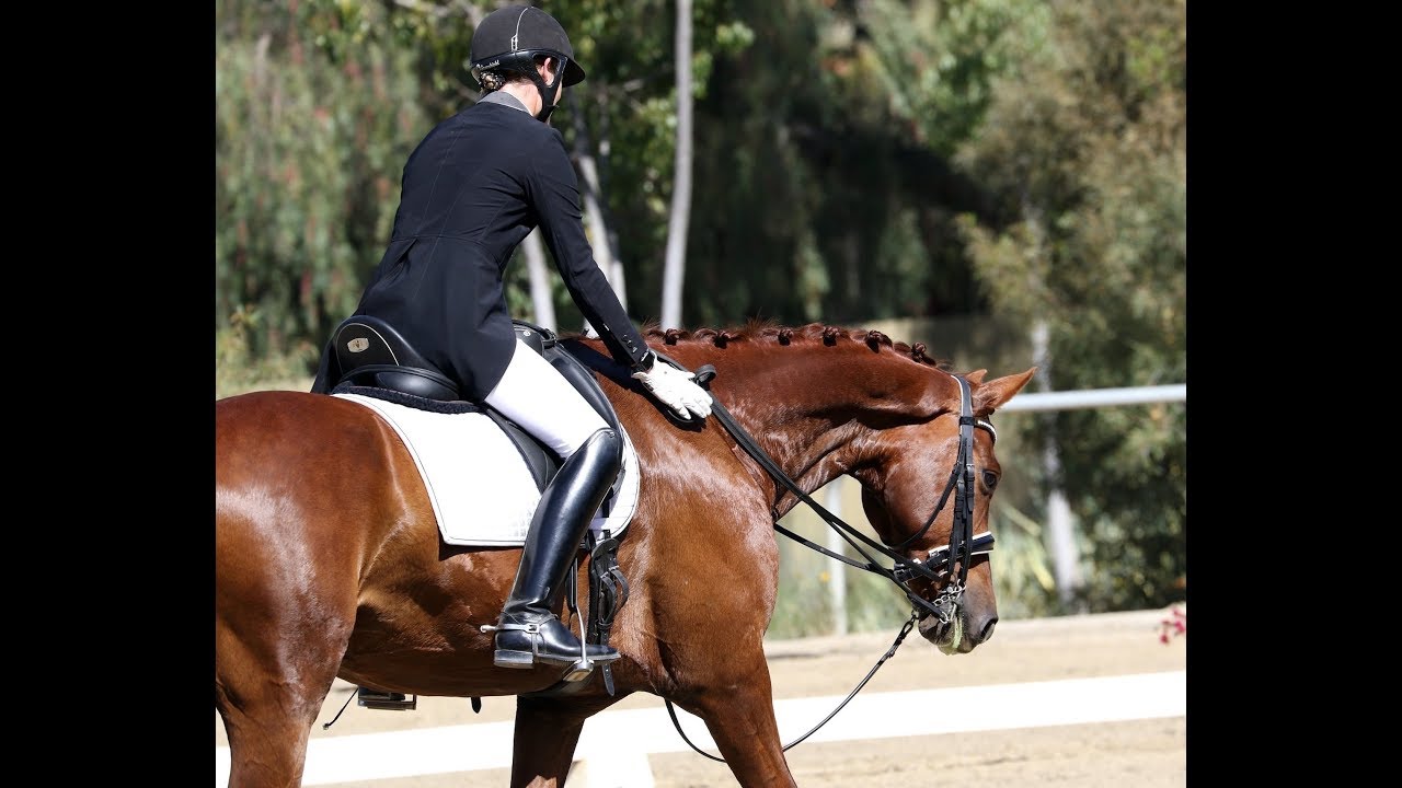 Make Progress and Set Goals in Dressage