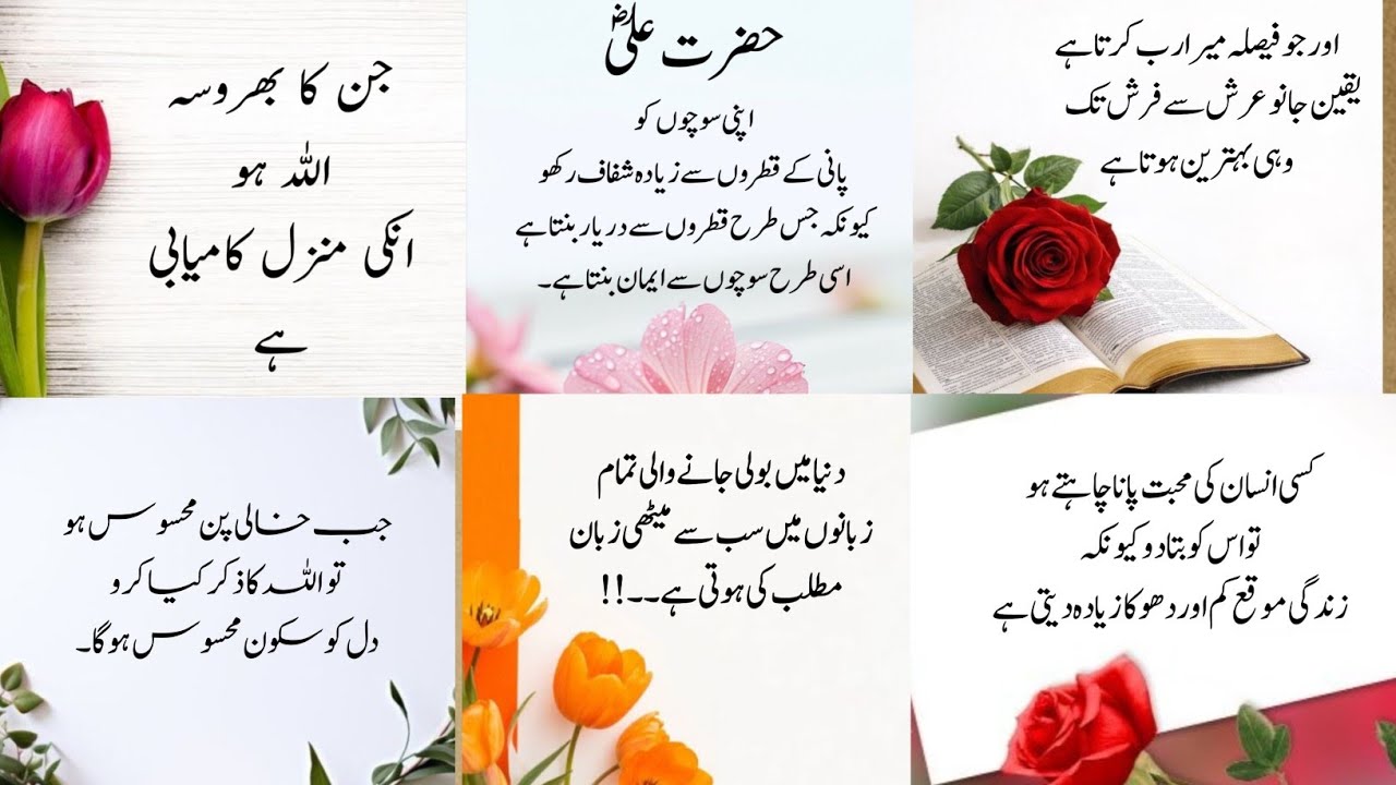Heart Touching Motivational Islamic Quotes In Urdu | Aqwal e zareen | Golden Words | Achi Batain 