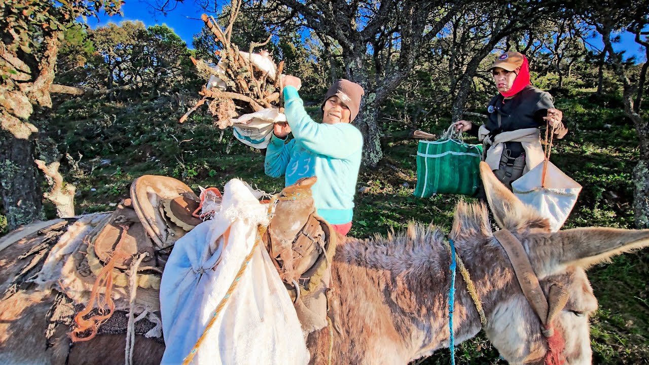 Una carga de PIÑON y un tercio de LEÑA para completar la vuelta en la Sierra de 14