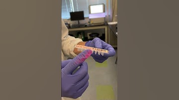 Demo of GeoMx Digital Spatial Profiler workflow #biology #shorts #science #bioscience