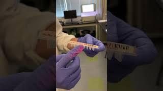 Demo of GeoMx Digital Spatial Profiler workflow #biology #shorts #science #bioscience