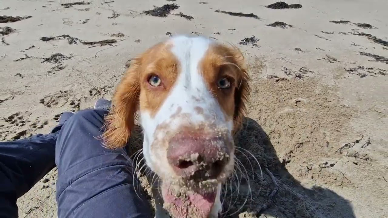 Traeth Llanddwyn, Anglesey