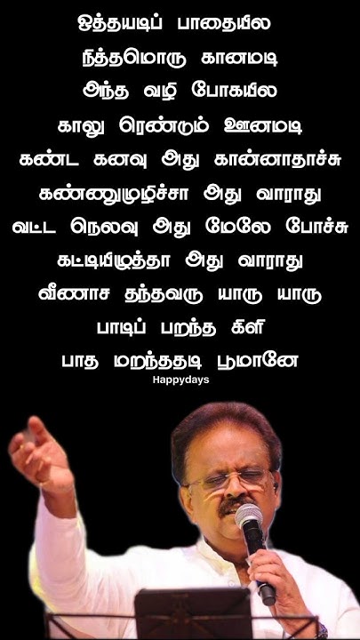 Paadi Parantha Kili Mp3 Song Free Download Paadi parantha kili song lyrics #spb #ilayaraaja #kizhakkuvasal #