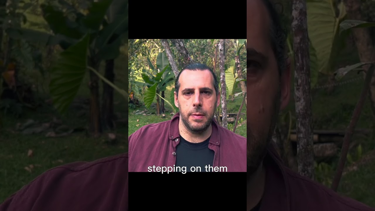 The Benefits of Buddhist Precepts Part 1