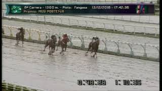 Carr.8 Premio: MUY PORTEÑA 13-12-2018