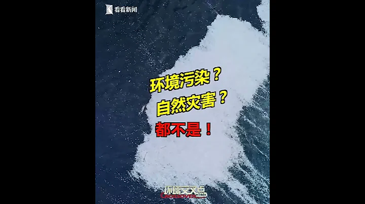 【交叉點評】觸目驚心！超10萬條死魚漂浮法國附近海域 原因讓人虛驚一場 - 天天要聞