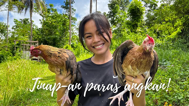 Native Chicken for Lunch, Filling the stomach who ...