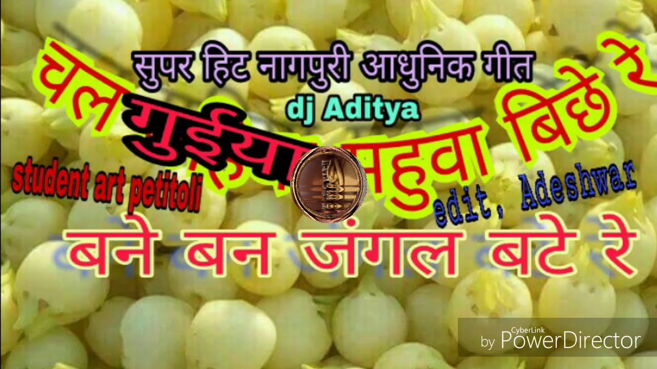 Chal Sahiya mhuwa biche re super hit Nagpuri Adhunik song  Adeshwar kumar