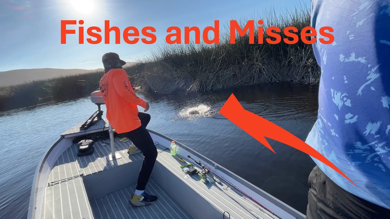 “Lots of Fishes and Lots of Misses” | Bass Fishing with Dr Bass | On the Water Series | Ep. 2