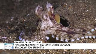 Η Τουρκία σχεδιάζει θαλάσσια πάρκα στο Αιγαίο, που "μπαίνουν" στα ελληνικά ύδατα