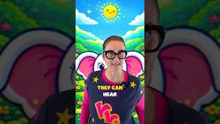 Elephants Can Hear With Their Feet