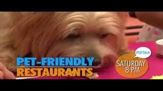 Pop Talk: Pet Friendly Restaurants