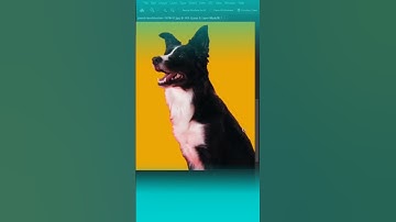 Easy and fast way to refine edges in photoshop photoshoptricks photoshop phototrick photography phot