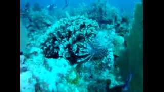 Belize 2011