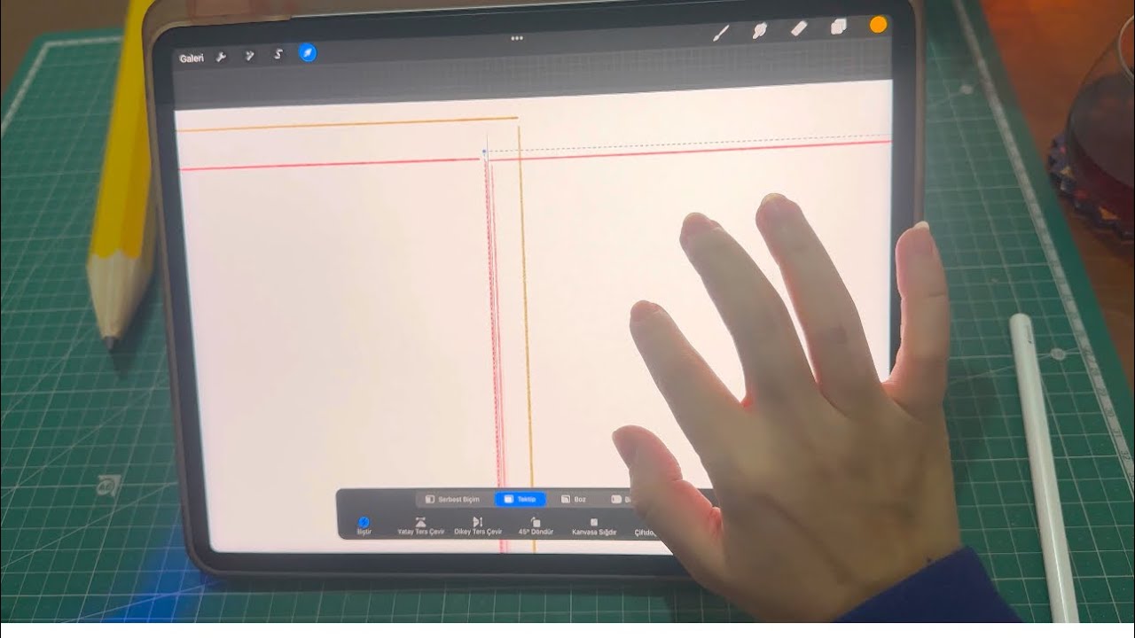 Procreate’de sayfa ölçülendirme / Çocuk kitabı resimleme