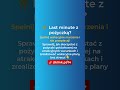🌴 Marzysz o spontanicznych wakacjach, ale brakuje Ci gotówki? 💸#Shorts