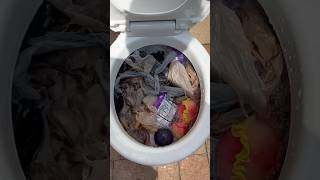 Celebrity Flushing random stuff down the toilet Wealth