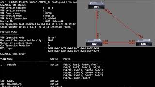 Famous VTP configuration VTP status, commands in details VTP version 3 Part 31 Profile