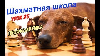 Урок 25. Профилактика Урок 25. Профилактика