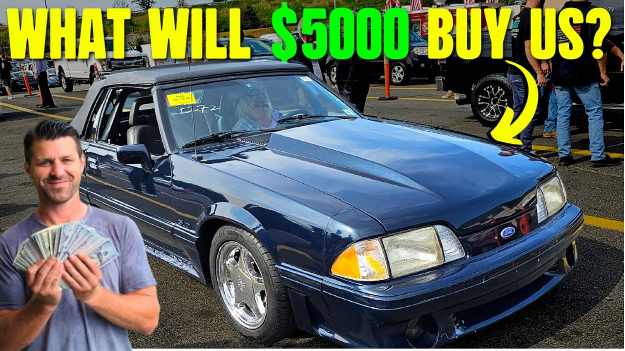 ДЕНЬ АУКЦИОНА! Что можно купить за 5000 долларов на аукционе, где участвуют только дилеры?