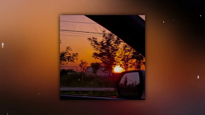 Video 10199971: don, f1, cat