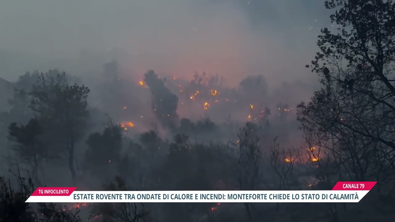 Siccità a Monteforte Cilento: il Comune chiede lo stato di calamità