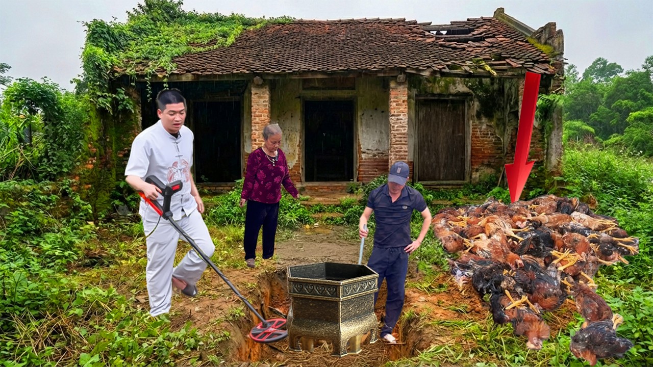 KỲ LẠ ĐÀN GÀ LIÊN TỤC LĂN QUAY CHẾT .Gia Chủ Run Sợ Lắp Bắp Kể Lại Khi Gặp Giấc Mơ Báo Mộng