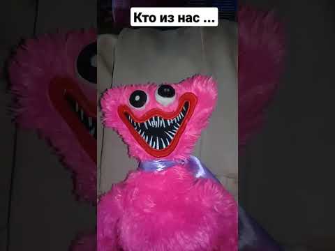 киси миси и киси миси - YouTube