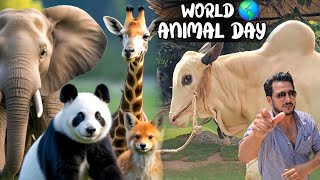 04 de octubre de 2025 Día Mundial de los Animales - El invierno cuida a los animales - Vlogs de JNTV screenshot 5