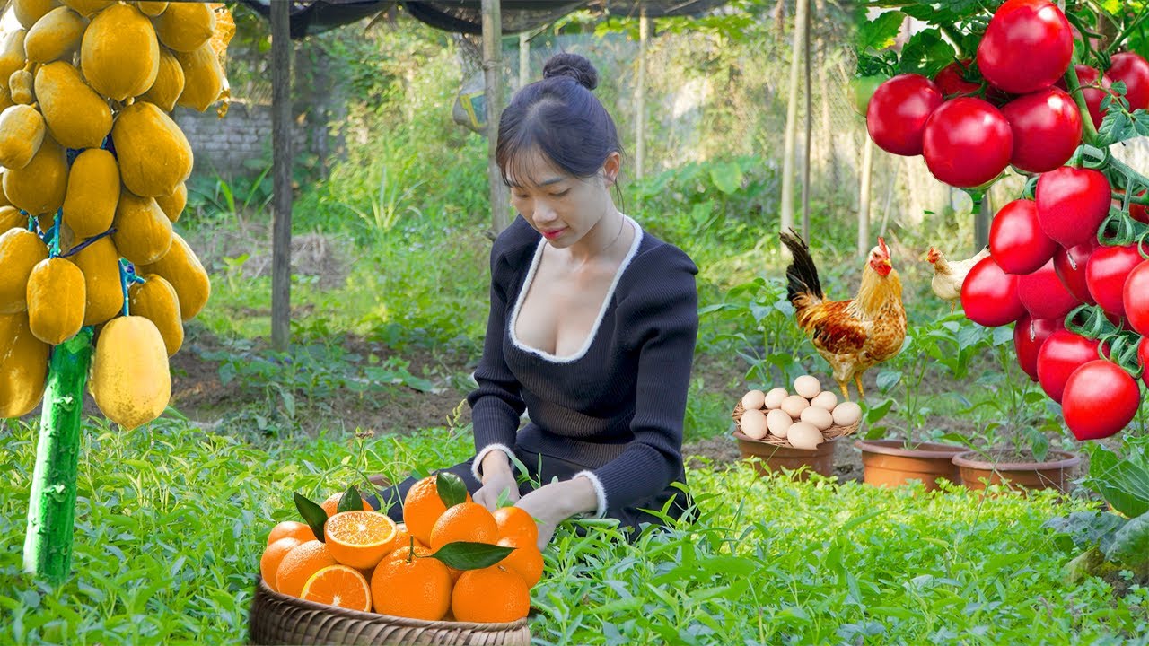 Single mother - harvests eggs, vegetable sell at the market - Raising ...