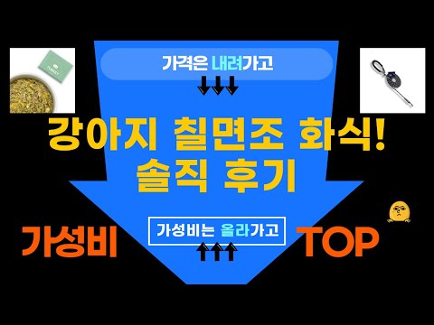 강아지 칠면조 화식! 저단저지 도거박스 솔직 후기 (꿀팁)