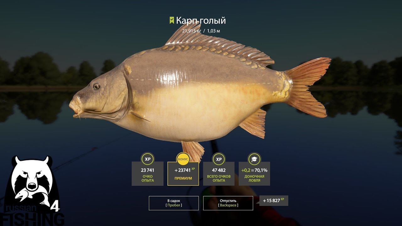 Карта клева рр4 в вк