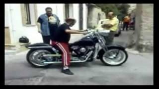 Harley Davidson Springer By Pro One Engineering8