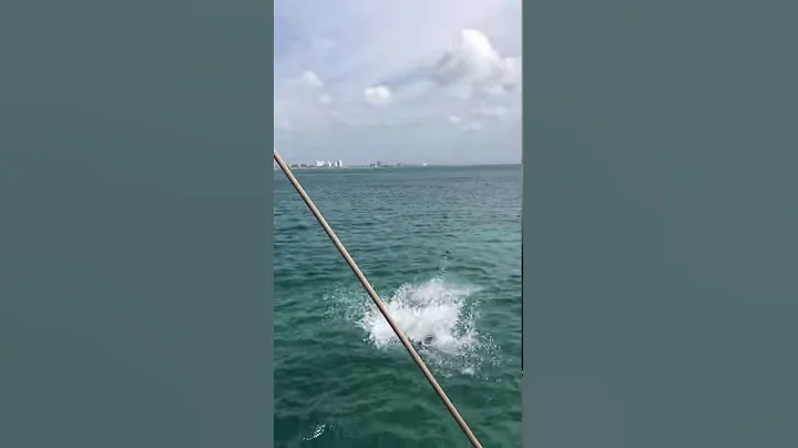 And there goes Riley!