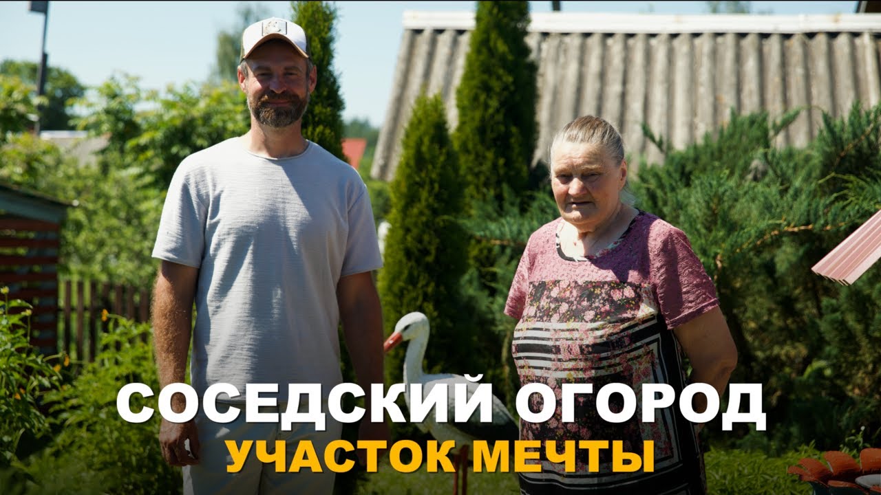 СОСЕДСКИЙ ОГОРОД. Красота и порядок на участке поражает.