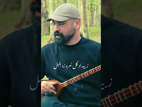 تصنیف ز فروردین شد شکفته چمن بازخوانی سه تار آموزش تصنیف های ماندگار ایرانی در کانال رضانجارزاده