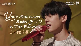 【AB6IXドンヒョン】Your Shampoo Scent In The Flowers 歌詞/日本語字幕
