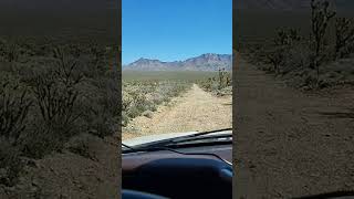 First Look - Greggs Hideout! Live Video Taken in Mohave County, AZ MARCH 2026 #propertyforsale
