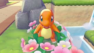 angry charmander