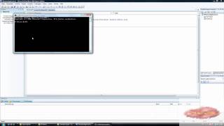 Visual Basic 2008 - Externe Programme öffnen